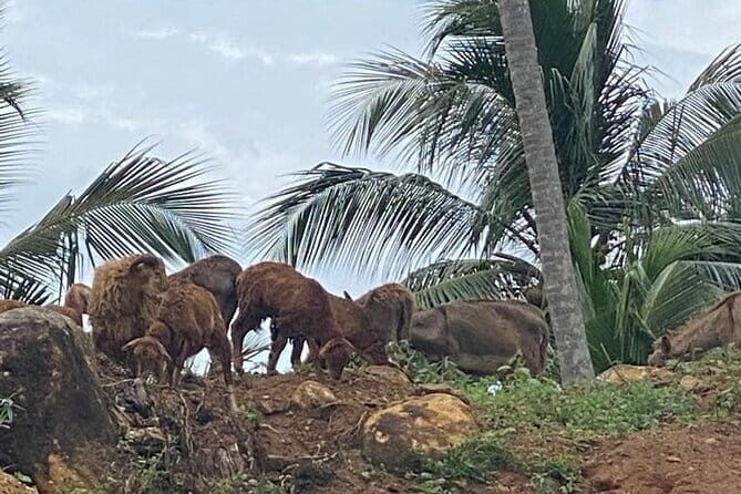 Sirin Park Eco Tour in Sri Lanka - Who Would Love This Tour?