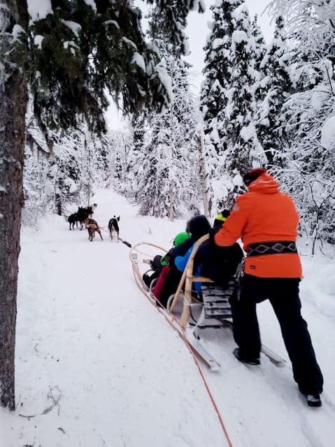 Sirkka: 5 Km Husky Sledding Ride in Levi - Detailed Itinerary