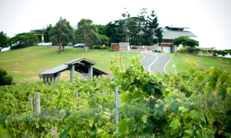 Sirromet Winery A Petit Pairing - Why Choose This Experience?