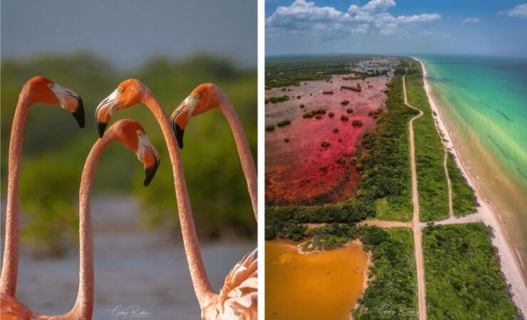 Sisal 3 Ecosystems - Discovering Mar, Ciénega, and Peten