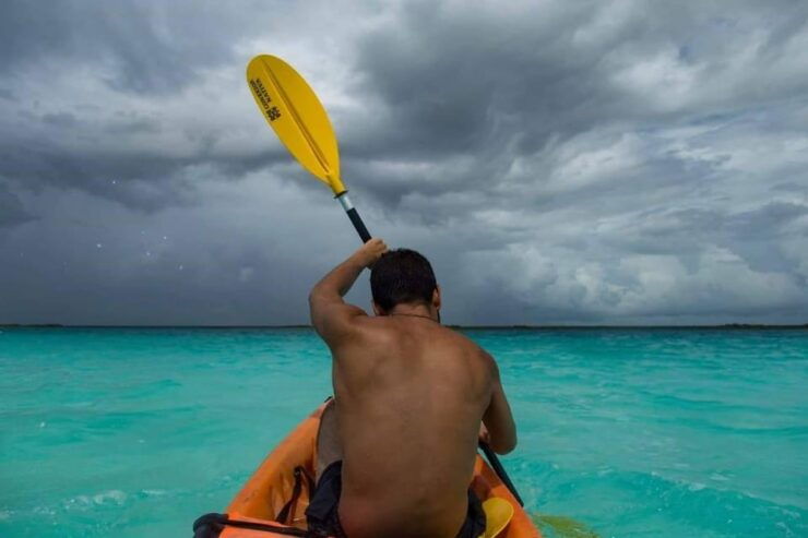 Sisal Kayak Through Mangroves and Bird Watching Tour - Good To Know