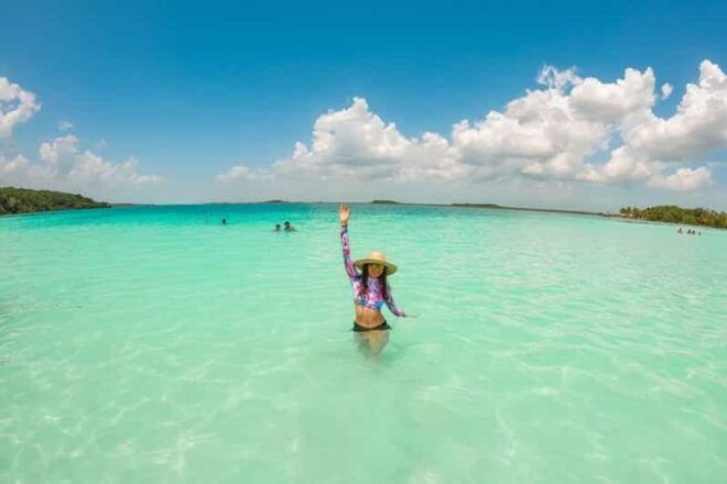Sisal Kayak Through Mangroves and Bird Watching Tour - Experience Details