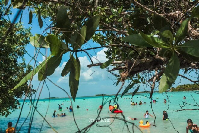 Sisal Kayak Through Mangroves and Bird Watching Tour - Inclusions