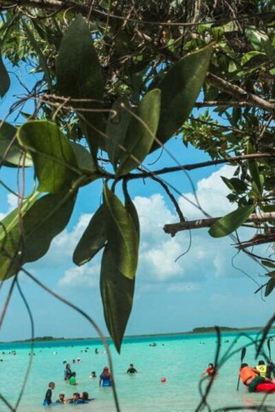 Sisal Kayak Through Mangroves and Bird Watching Tour - Additional Notes