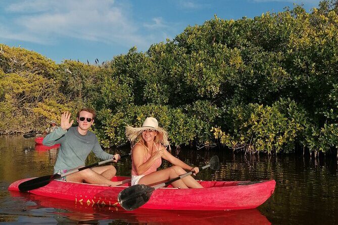 Sisal kayak through Mangroves & Bird watching from Merida - An Overview of the Experience