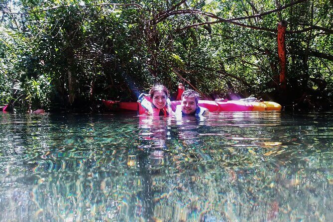 Sisal kayak through Mangroves & Bird watching from Merida - FAQs