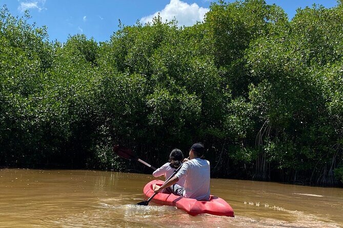 Sisal Mangrove and Beach Kayak Tour From Merida - Discover the Charm of the Sisal Mangrove and Beach Kayak Tour From Merida