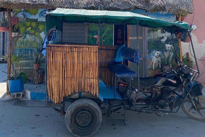 Sisal Mangrove and Beach Kayak Tour From Merida - Good To Know