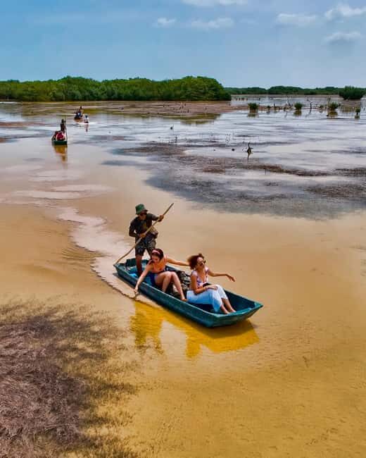 Sisal Yucatán: Flamingo Safari Tour Mangroves - Good To Know  