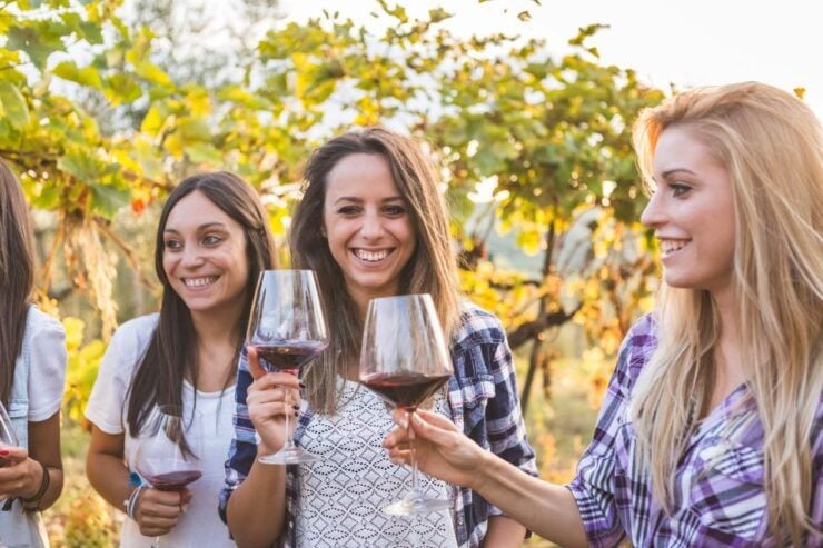 Šišan: Organic Winery Tour and Tasting Experience - Booking Details