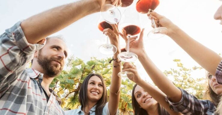 Šišan: Organic Winery Tour and Tasting Experience - Experience Highlights