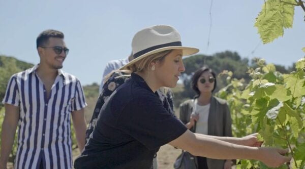 Sitges: Winery Visit, Sailing Experience and Walking Tour - Important Considerations