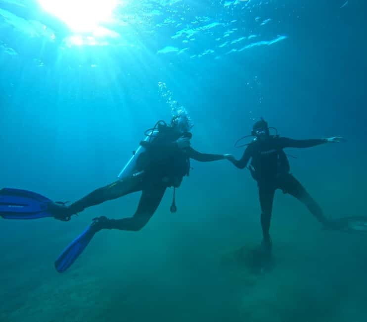Sithonia: 1 Guided Shore Dive for Certified Divers - Good To Know