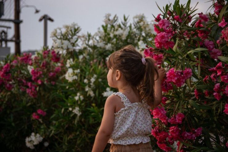 Sithonia : Holiday Photoshoting Keep Yours Memory for Ever . - Itinerary and Experience