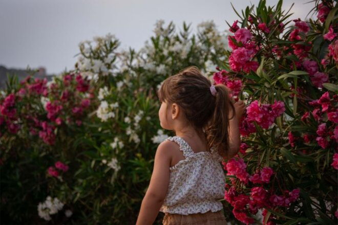 Sithonia : Holiday Photoshoting Keep Yours Memory for Ever . - Inclusions