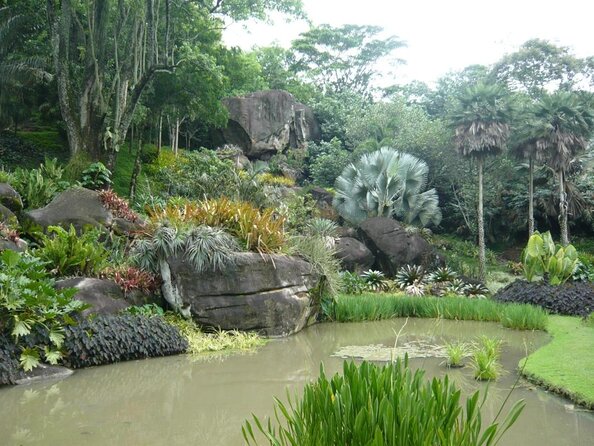 Sitio Roberto Burle Marx Guided Tour Ticket and Transfer - Tour Duration and Inclusions