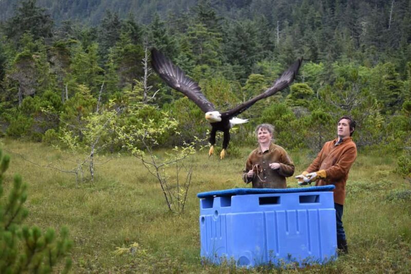 Sitka: Alaska Raptor Center Admission Ticket - Good To Know