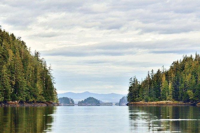 Sitka Boat and Sea Kayaking Adventure - Whats Included