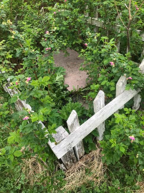 Sitka: Haunted Walking Tour - History and Haunts of Sitka - FAQ