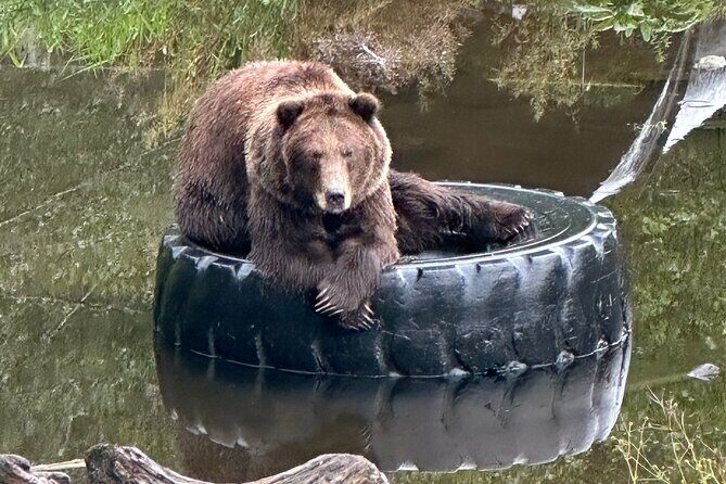 Sitka Scenic Private Tour - Good To Know