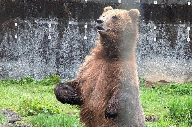 Sitka Scenic Private Tour - Who Should Book This Tour?