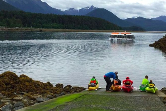 Sitka Shore Excursion: Sitka Harbor & Islands Guided Kayaking - Activity Overview