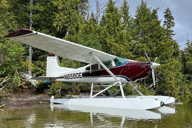 Sitka Sound Private Seaplane Tour Experience - Why We Love This Experience