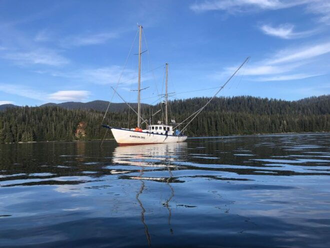 Sitka: Whale Watching, Kyaking, Hot Springs, Nature Tours - Full Description