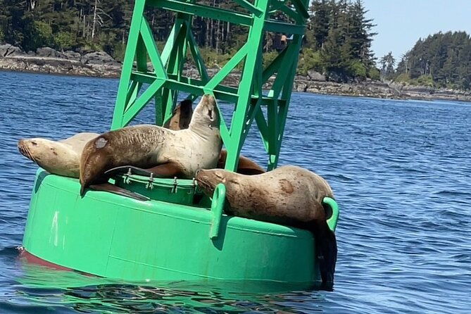 Sitkas Private Wildlife Whale Adventure for 6 w/Transportation - FAQs