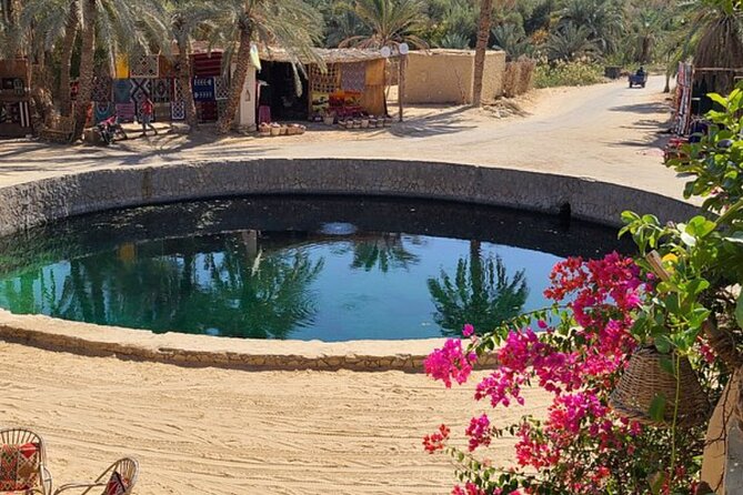 Siwa Oasis Tour From Cairo and Giza (Safari) - Pickup and Meeting Points