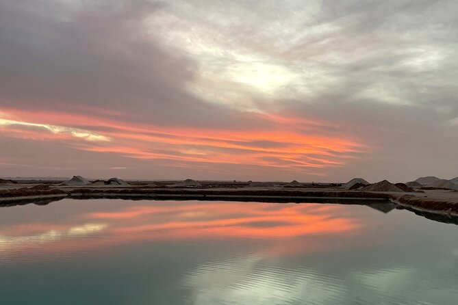 Siwa Oasis Trip With Cairo Pick up - Contact and Support