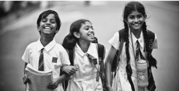 Six-Day Immersive Adventures in Sri Lanka - Tour Experience Highlights