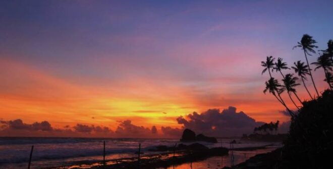 Six-Day Immersive Adventures in Sri Lanka - Tour Activities