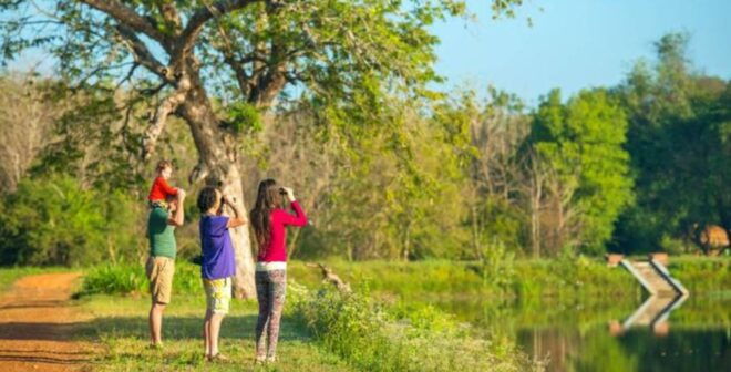 Six-Day Immersive Adventures in Sri Lanka - Tour Promotion and Information