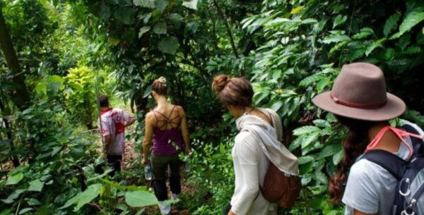 Six-Day Immersive Adventures in Sri Lanka - The Sum Up