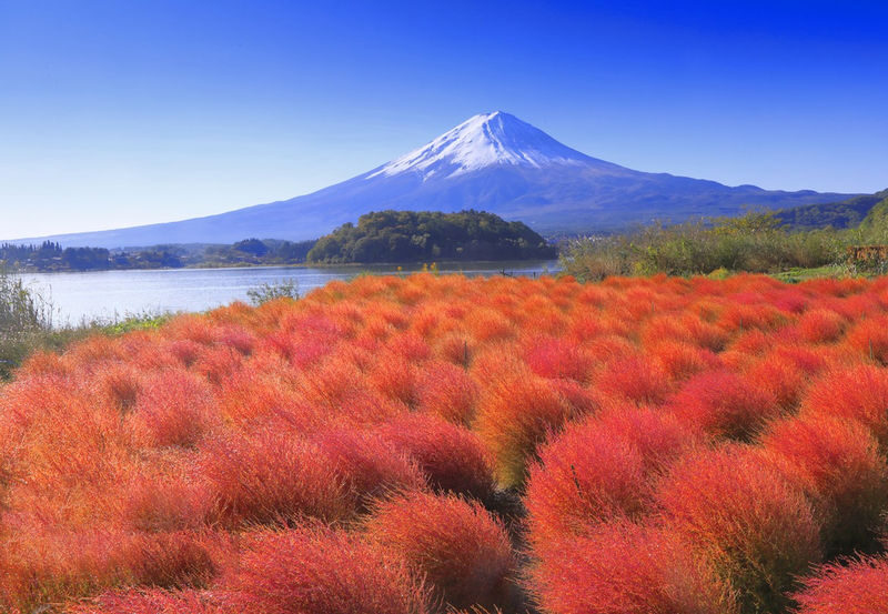 Six Must-Visit Photo Spots for Mount Fuji + Flower Viewing: Lake Yamanaka for Mount Fuji Reflection & Hikawa Clock Shop & Lawson Convenience Store & Arakurayama Sengen Park & Lake Kawaguchiko | Departing from Tokyo - Oshino Hakkai: spring water and a small village stop