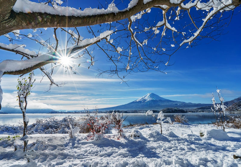 Six Must-Visit Photo Spots for Mount Fuji + Flower Viewing: Lake Yamanaka for Mount Fuji Reflection & Hikawa Clock Shop & Lawson Convenience Store & Arakurayama Sengen Park & Lake Kawaguchiko | Departing from Tokyo - The Lawson photo stop: quick, familiar, and crowded by design