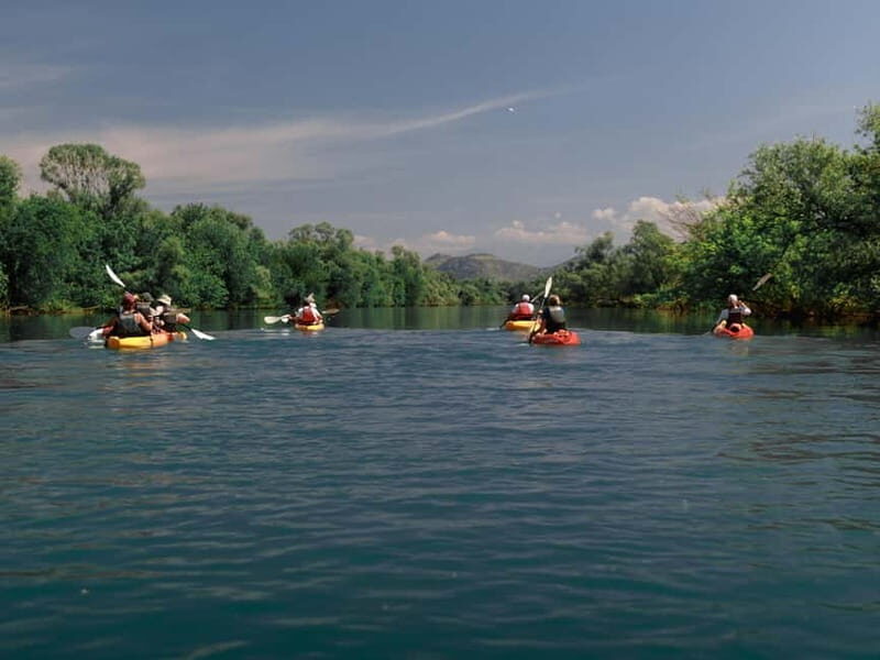 Skadar Lake: 4-Hour Guided tours on Kayak - Good To Know