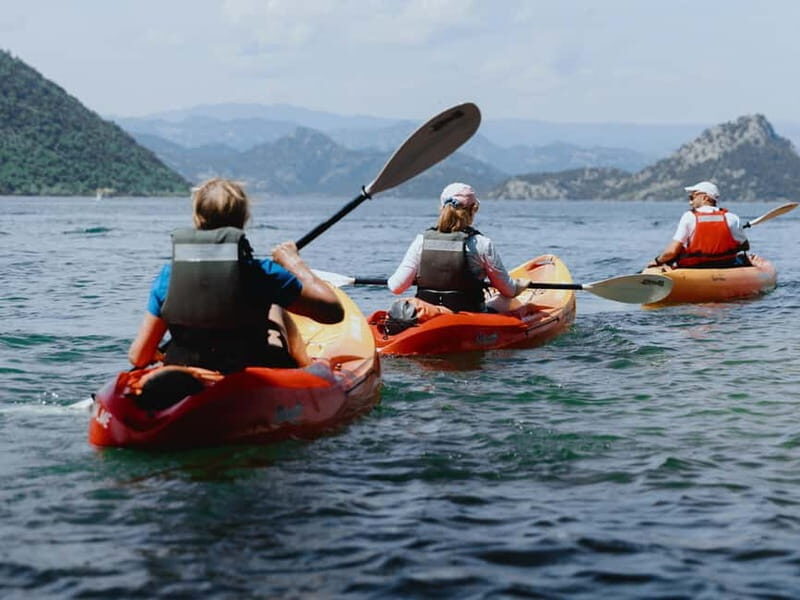 Skadar Lake: 4-Hour Guided tours on Kayak - A Deep Dive into the Experience