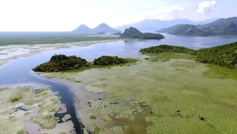 SKADAR LAKE: A national park with amazing flora and fauna! - Exploring Skadar Lake: A Practical Breakdown of the Tour