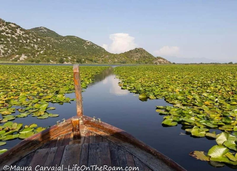 Skadar Lake Boat Tour with Transfer from Podgorica - Detailed Breakdown of the Experience