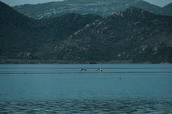 Skadar Lake Cruise With Onboard Lunch - Pricing Details