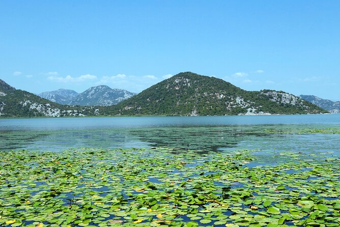 Skadar Lake Day Trip From Herceg Novi - Payment Details