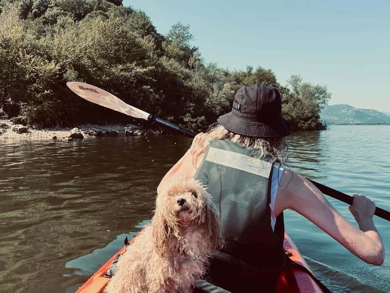 Skadar Lake: Kayak & Paddle board Rental - The Local Flavour: An Optional Fish Meal