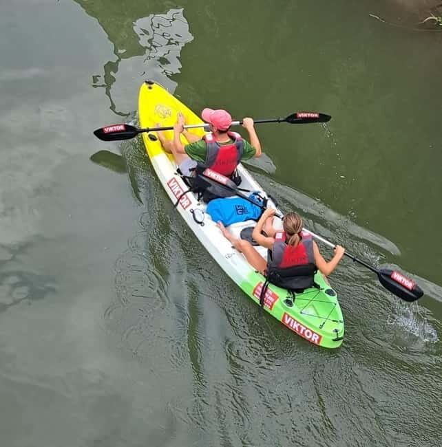 Skadar Lake kayak rent: A Journey Through Tranquility - Exploring the Experience: What You Can Expect