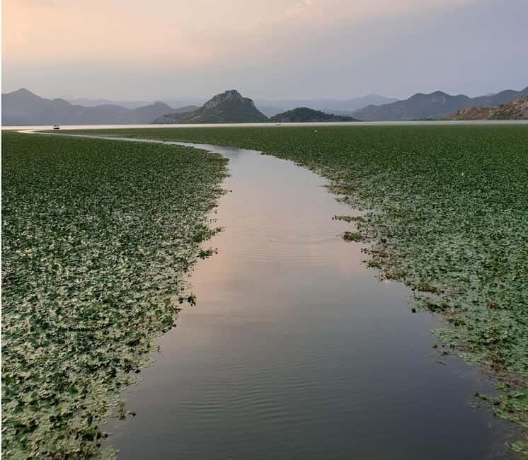 Skadar Lake kayak rent: A Journey Through Tranquility - FAQs