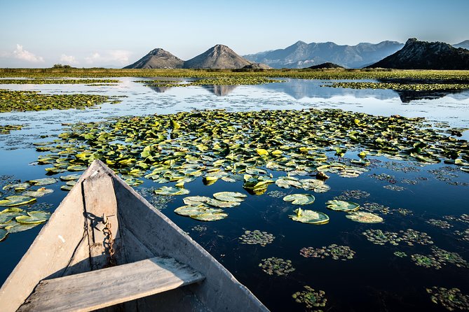 Skadar Lake National Park Boating & Budva Old Town Tour - Tour Overview
