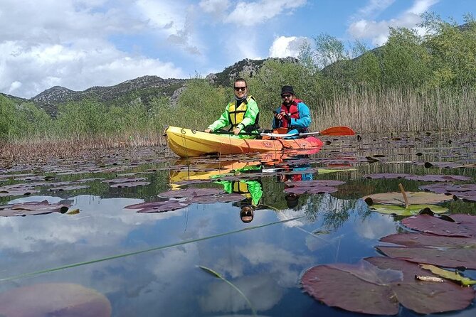 Skadar Lake on Kayaks Experience With Spectacular Views - Pricing and Group Size