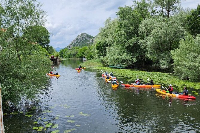 Skadar Lake on Kayaks Experience With Spectacular Views - Customer Reviews