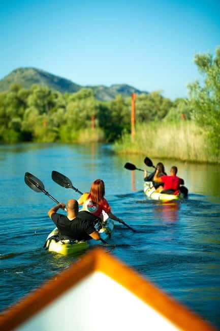 Skadar Lake: Self-Guided Bird Tour & Kayak Rental - Good To Know  